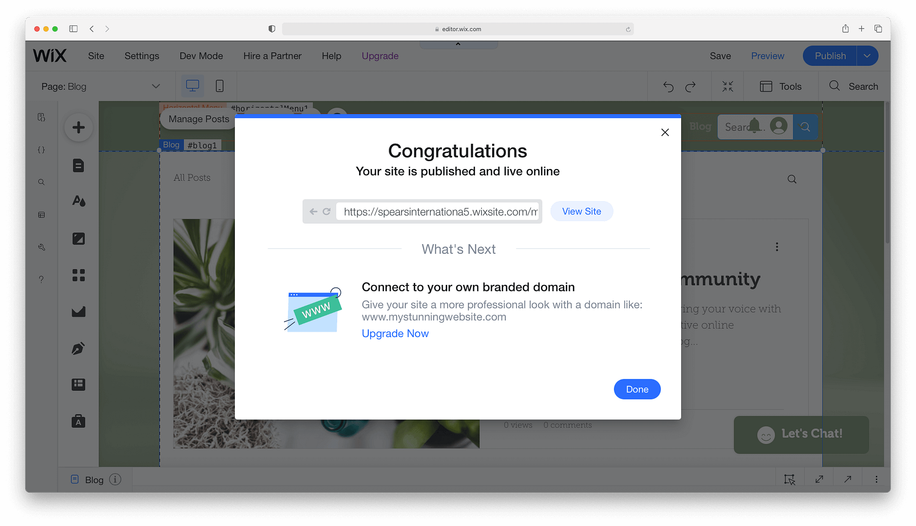 Once you hit publish, you have officially made a Wix website